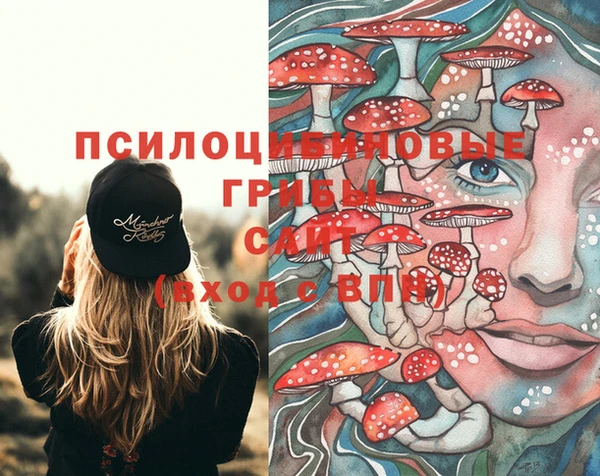 молекула духа Костерёво