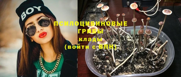 соль ск Коряжма