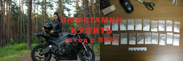 молекула духа Костерёво