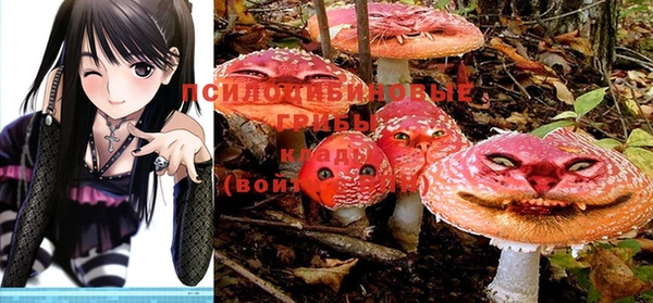 скорость Корсаков