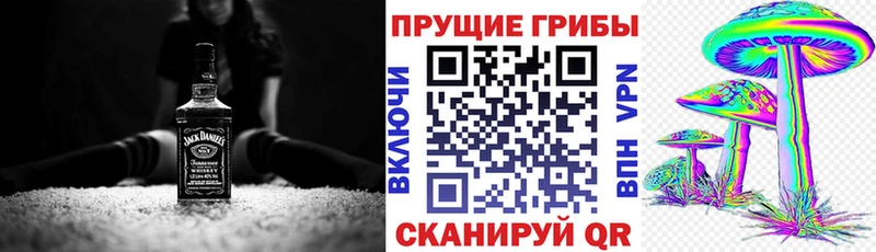 Купить  Бутурлиновка  Псилоцибиновые грибы Psilocybe 